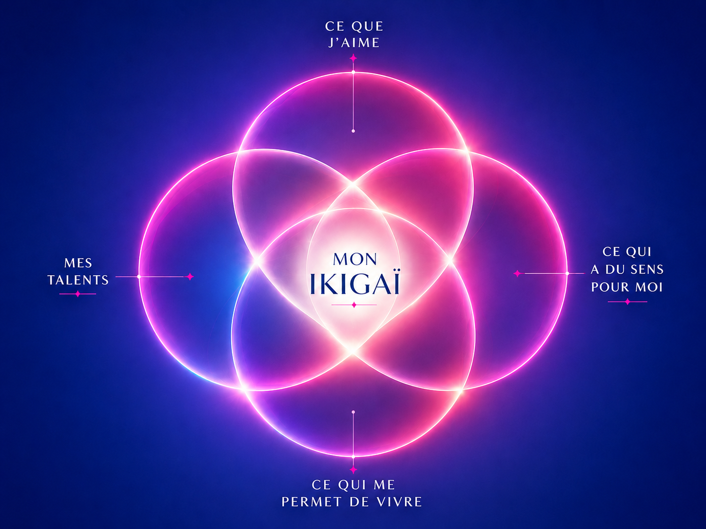 Représentation et explication ikigaï